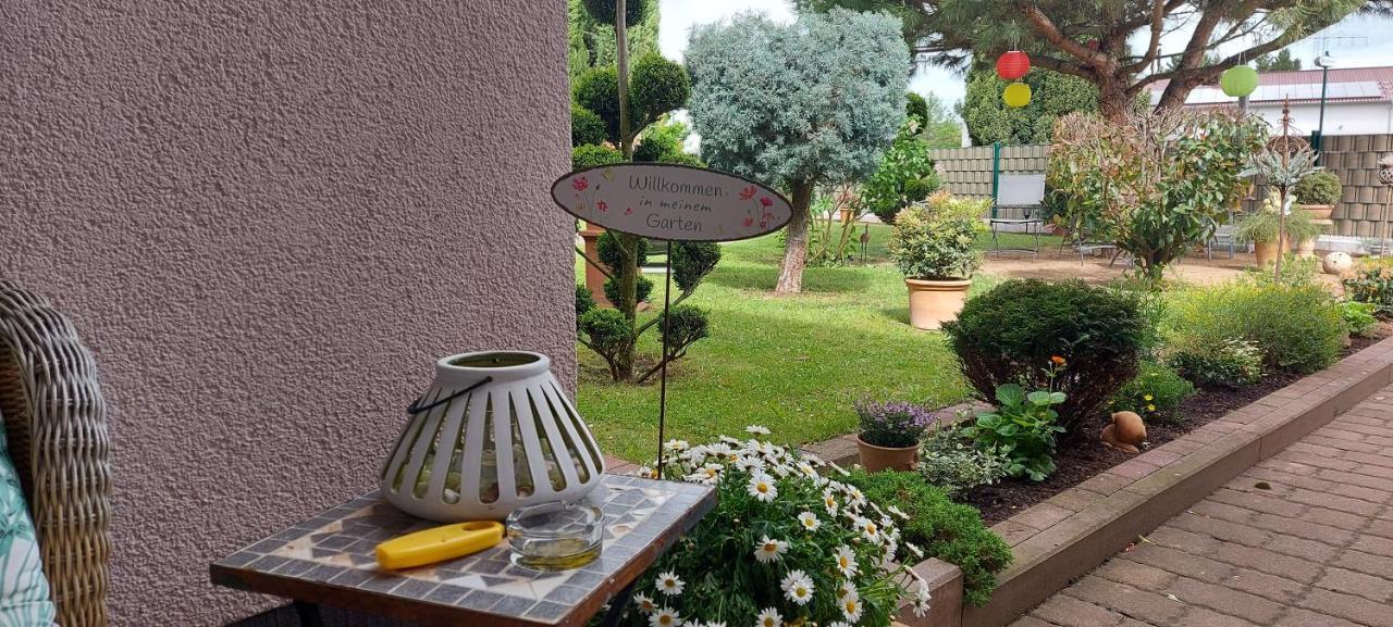 גרוסקרלבאך Ferienwohnung Zum Weinberg מראה חיצוני תמונה